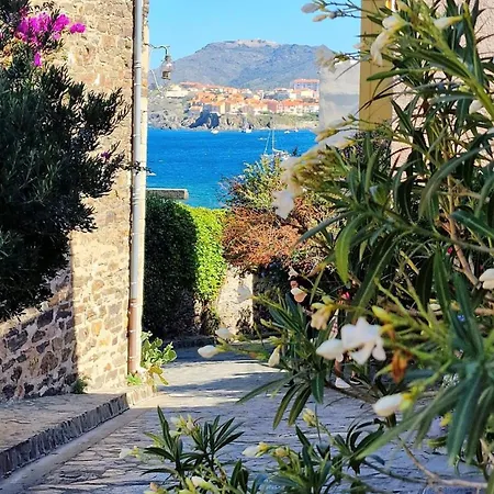 3conv48- T2 Avec Vue Imprenable En Face * Collioure