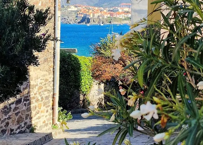 3conv48- T2 Avec Vue Imprenable En Face * Collioure